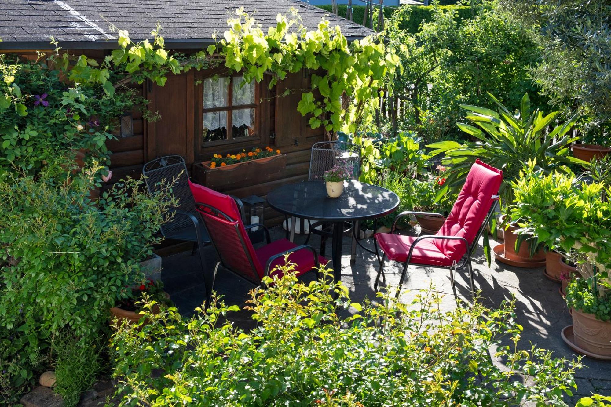 Ferienwohnung Burger Sasbach am Kaiserstuhl Buitenkant foto