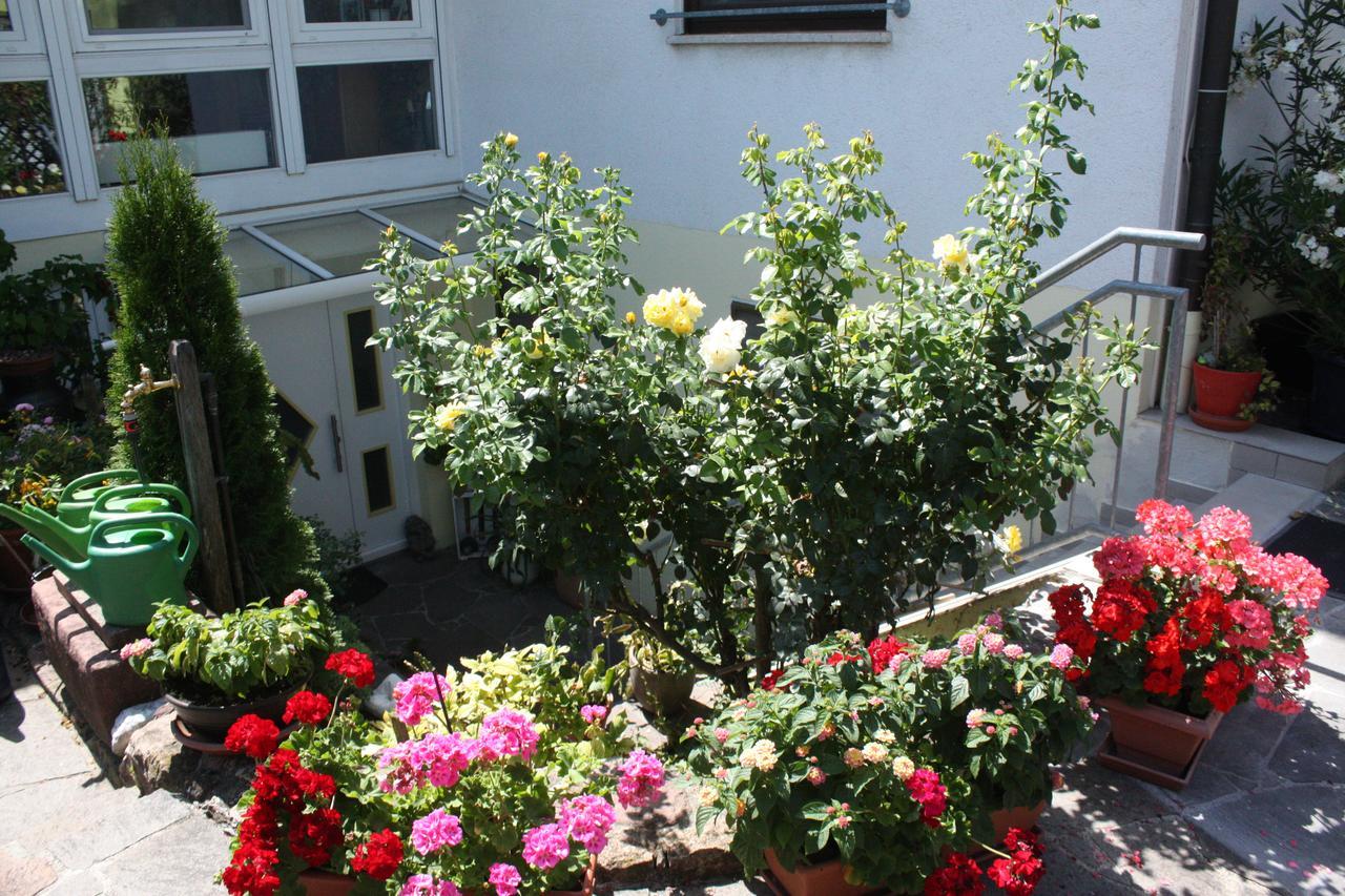 Ferienwohnung Burger Sasbach am Kaiserstuhl Buitenkant foto